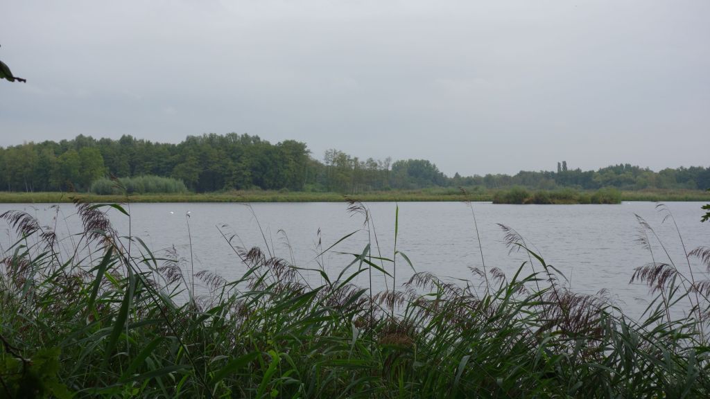 Wandelen in de&nbsp;Wijers