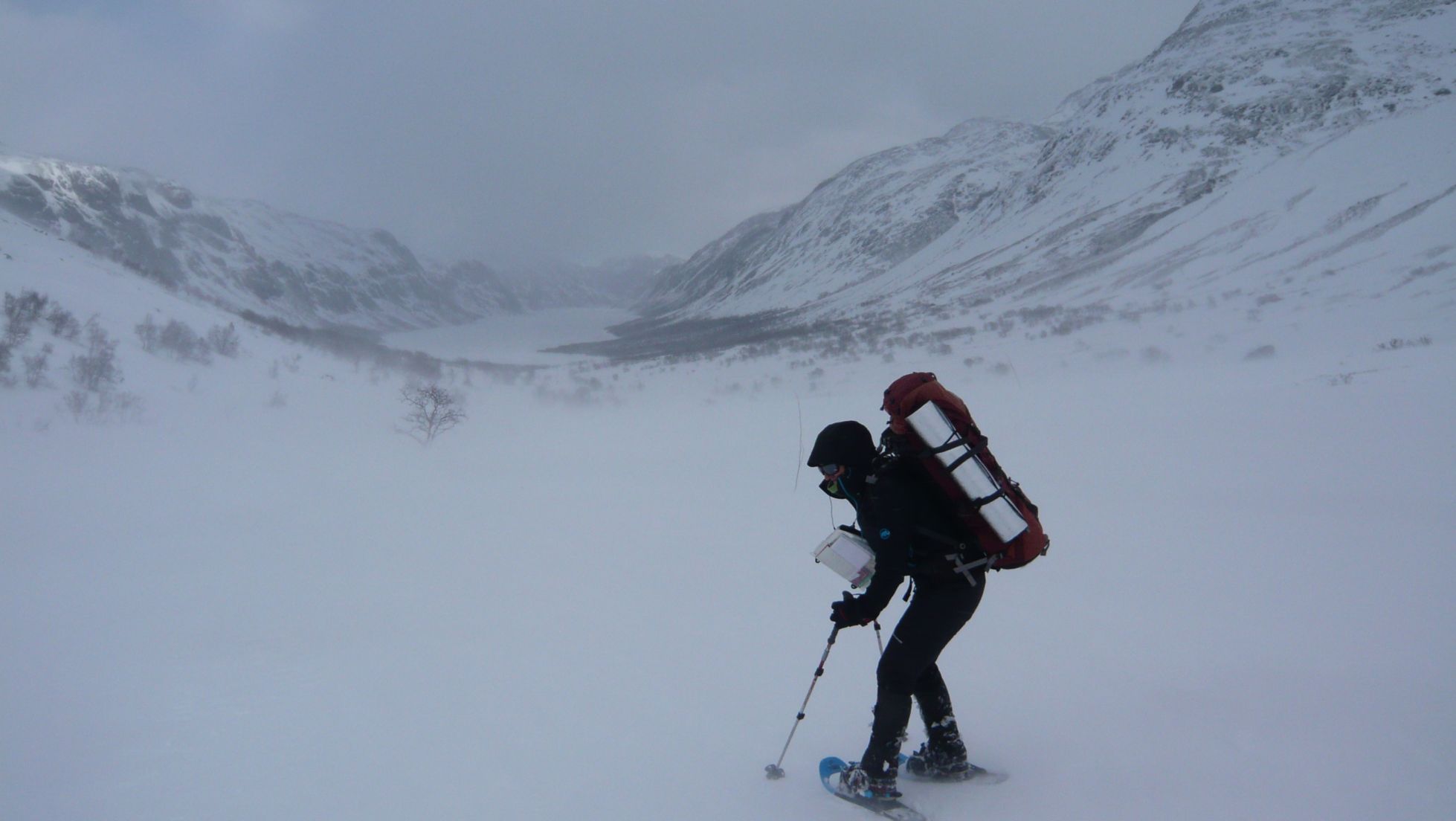 Sneeuw en wind in Jotunheimen