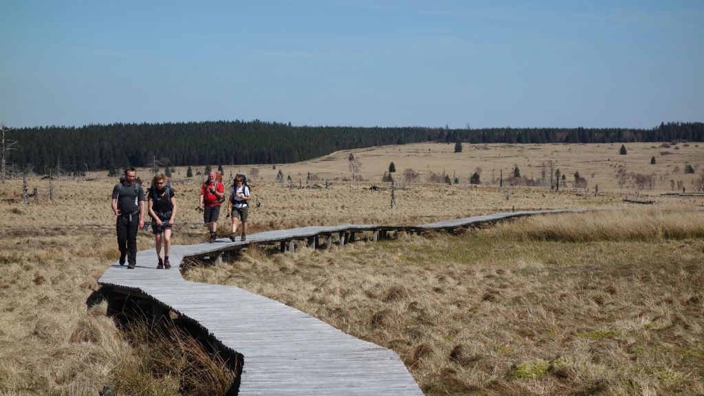 Transardennaise HA-stijl