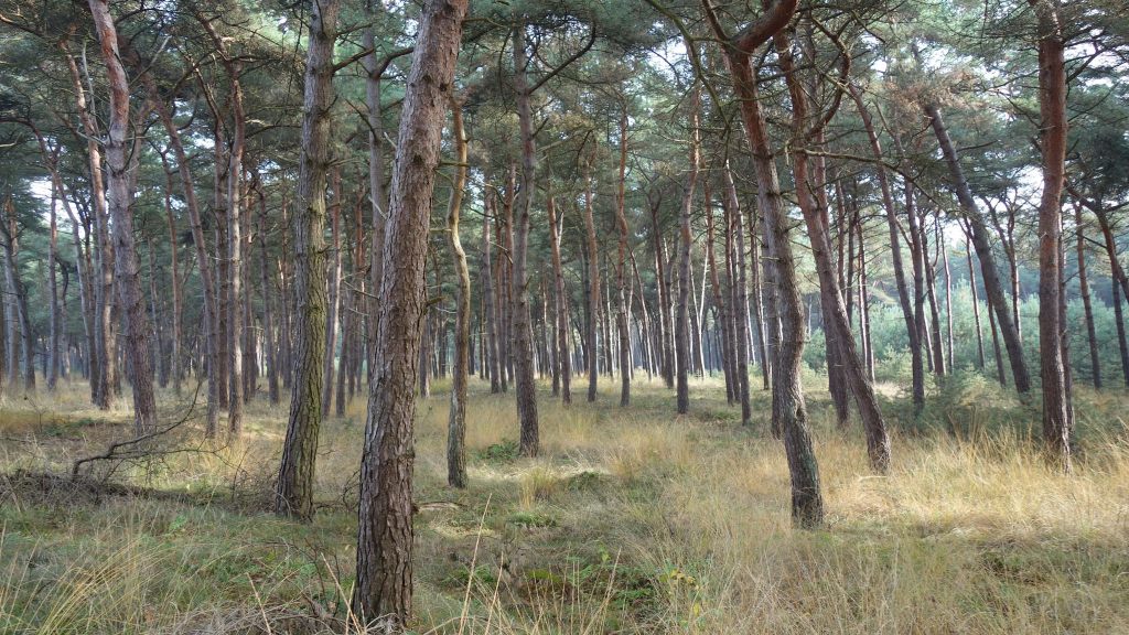 Grenspark Kempen-Broek