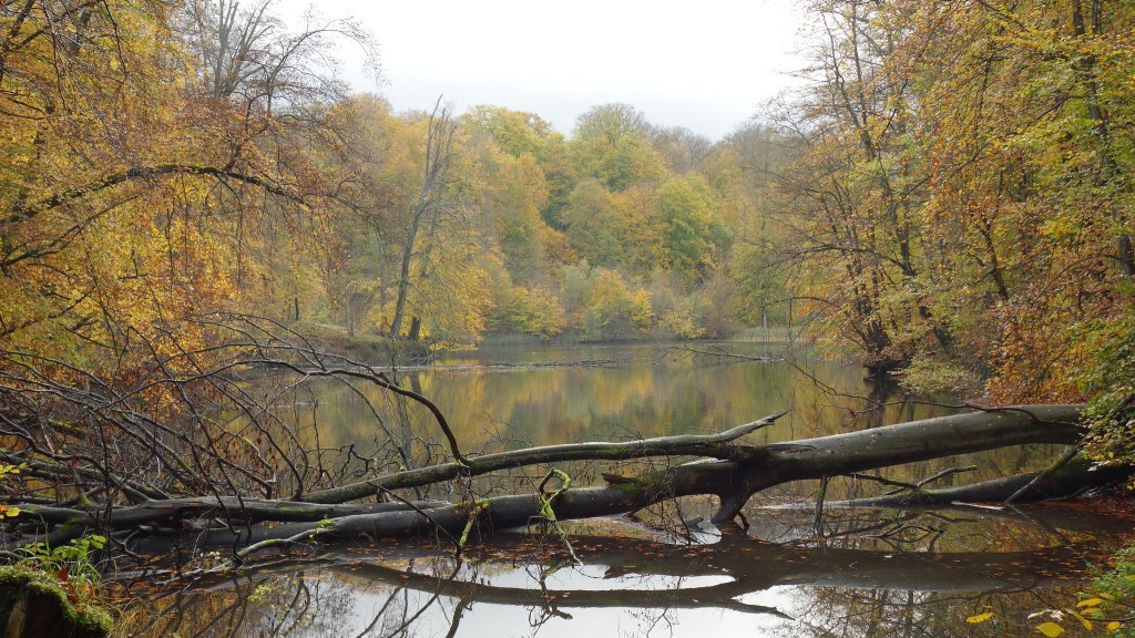 De Groene Rand van&nbsp;Brussel
