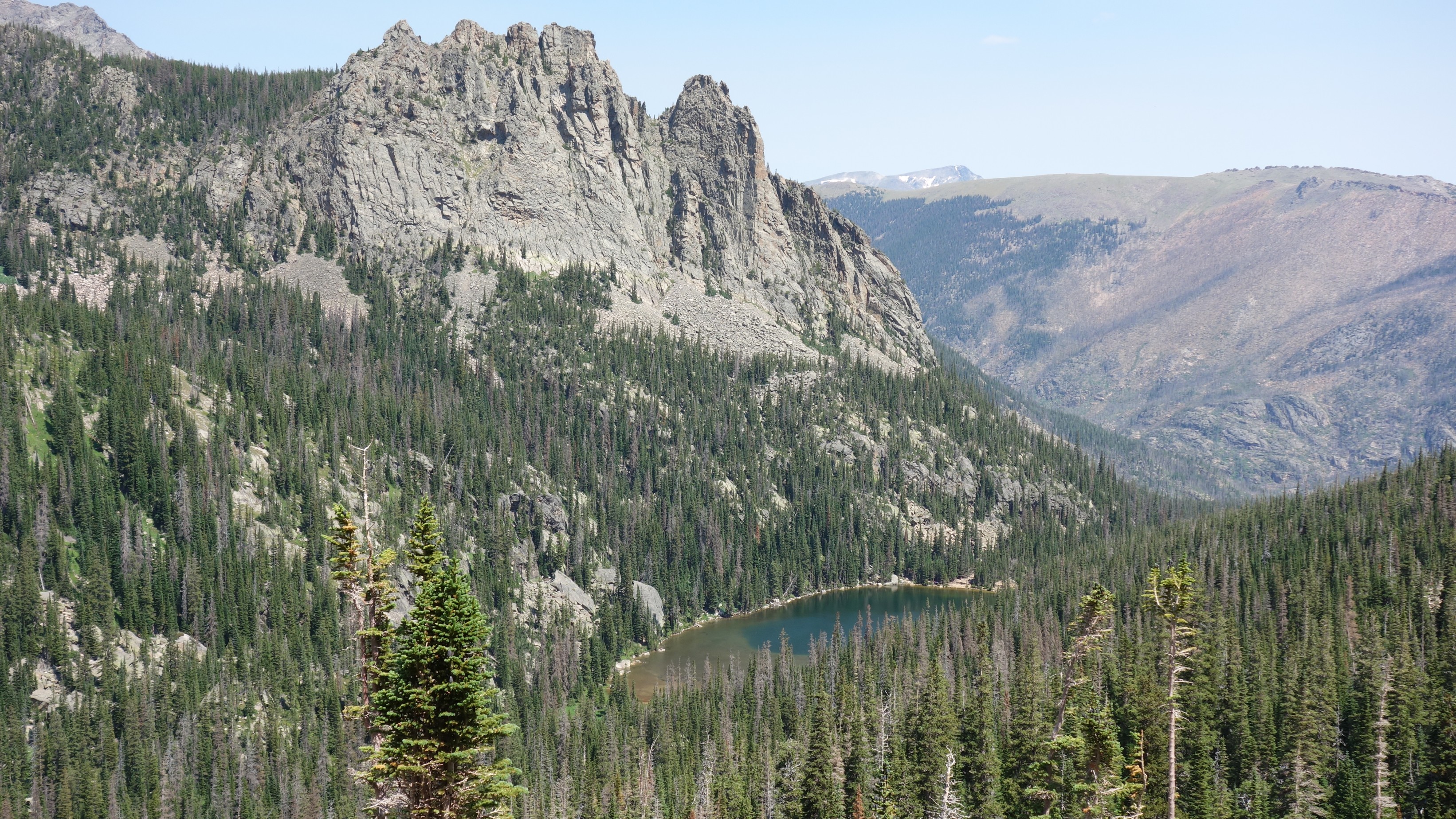 Hopelijk doet De Panne ook iets aan die gevaarlijke grasaren, en niet  alleen maaien maar het maaisel ook wegnemen!, image size:3283x1848