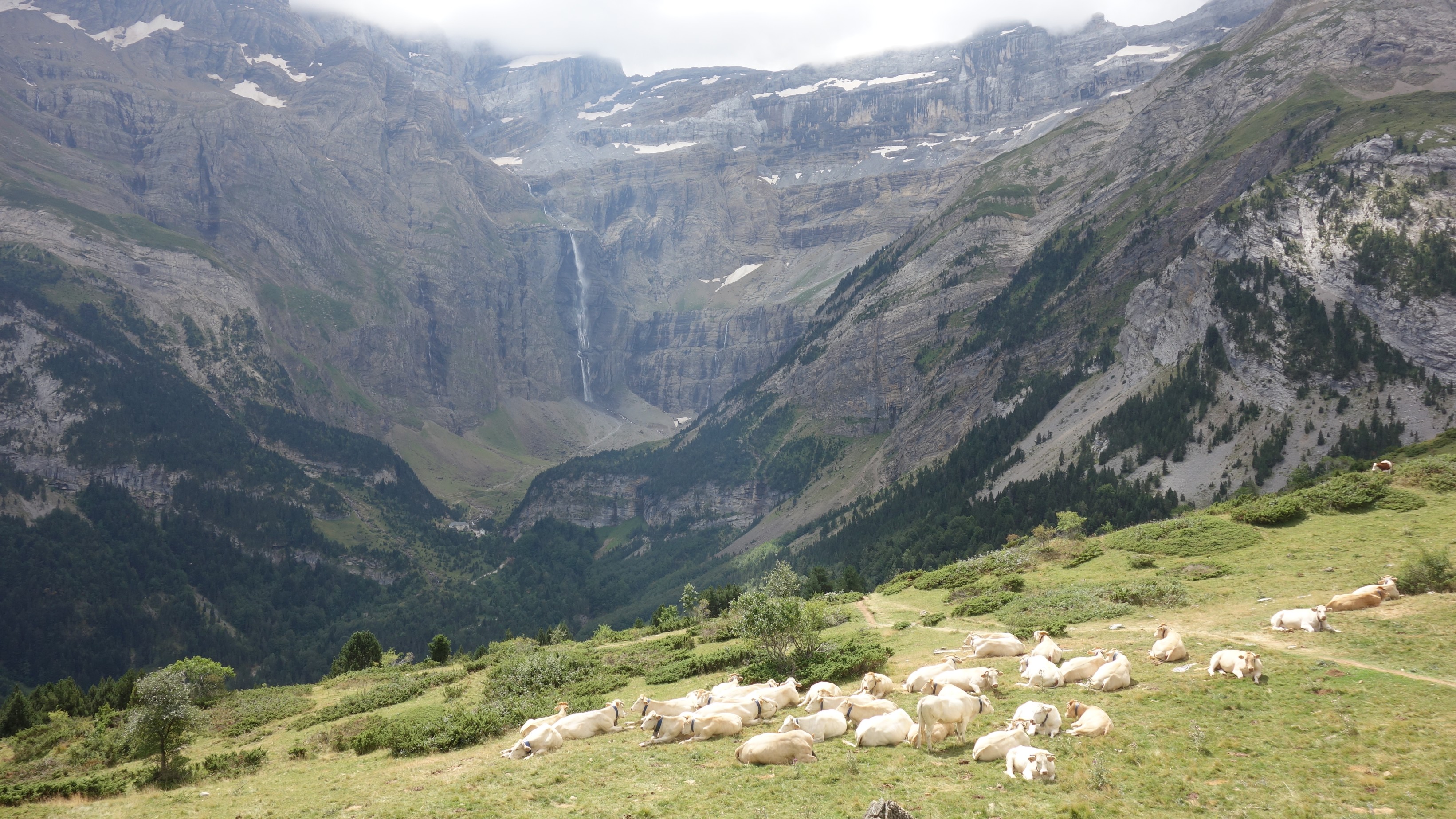 dsc00082_50237538727_o